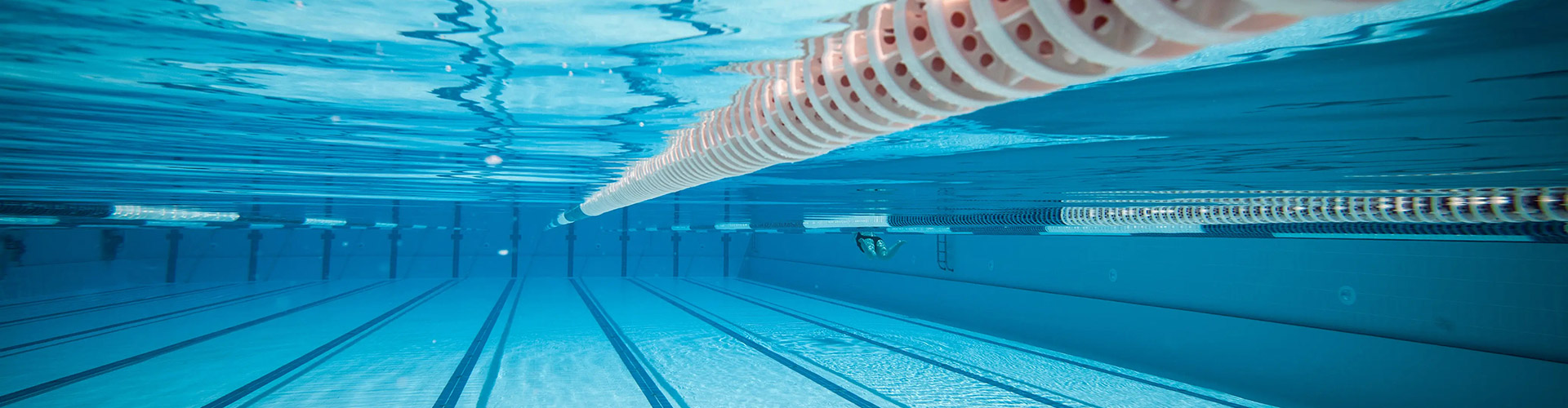 CA88(中国)唯一官方网站入口